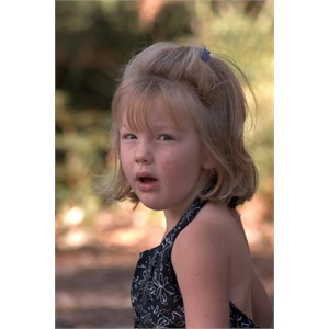 Low depth of field gives muted background effect