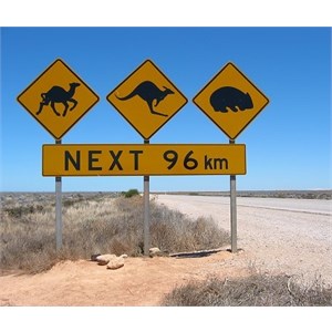 Road sign warning that camels - kangaroos and wombats may be up ahead
