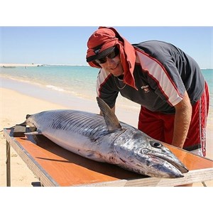 A large mackerel on a table