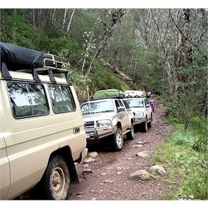 Traveling in convoy through the rain forests