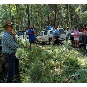 Tour guide talking to a group
