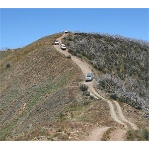 Convoy of 4WDs going down a track on a hill