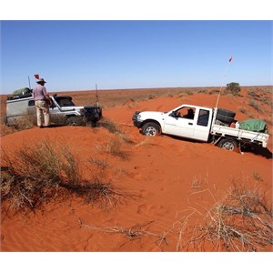 Tour operator giving a helping hand