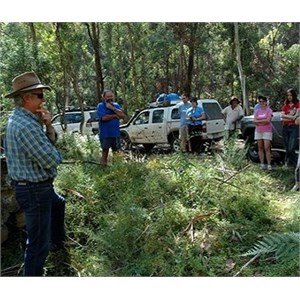 Tour guide explaining something in the forest