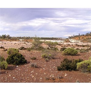 Typical gold country on a dry salt lake east of Kalgoorlie