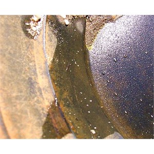 Fine yellow line of gold can be clearly seen