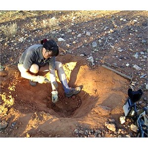 Searching for the target