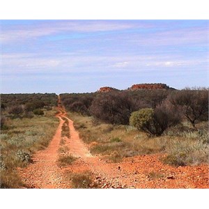 Track views to Mt Gordon