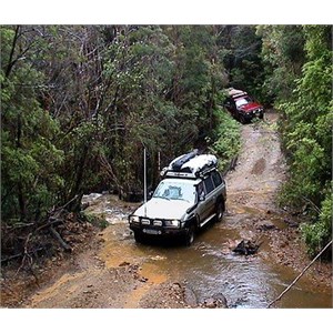 Driving through a National Park in Tasmania