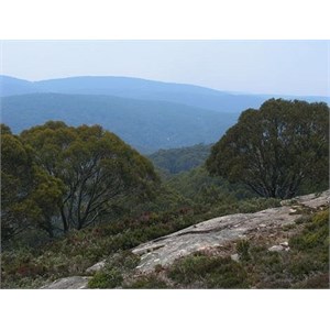 Mount Baw Baw