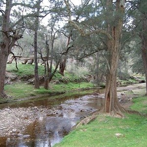 Abercrombie River NP