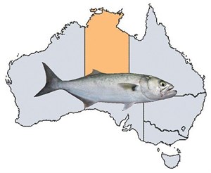 Fishing Spots in NT