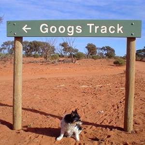 Googs Track