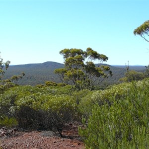 Northern Yilgarn Conservation Reserves
