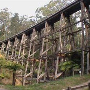 Noojee Trestle Bridge