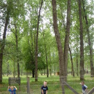 Poplars Reserve (Loch Valley) Campsites