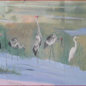 Mamukala Wetlands and Bird Hide