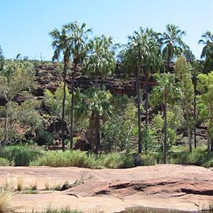 Palm Valley (Mpulungkinya)
