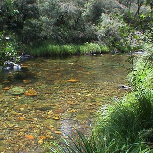 River Campsite