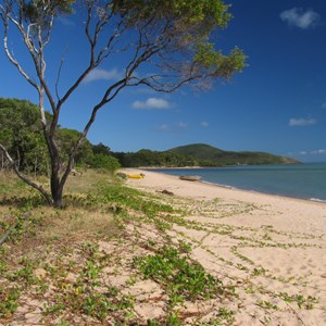 Beach at Punsand Bay Resort
