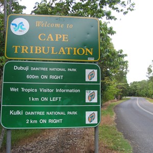 Cape Tribulation