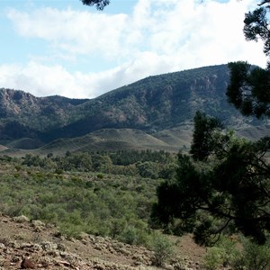 Bunyeroo Valley