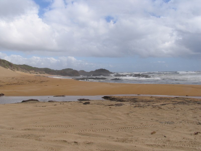 Trial Harbour TAS ExplorOz Places