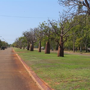Boab's along road linking town to wharf