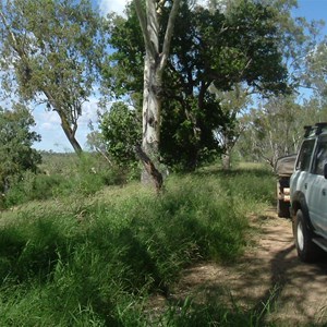 Dalrymple National Park