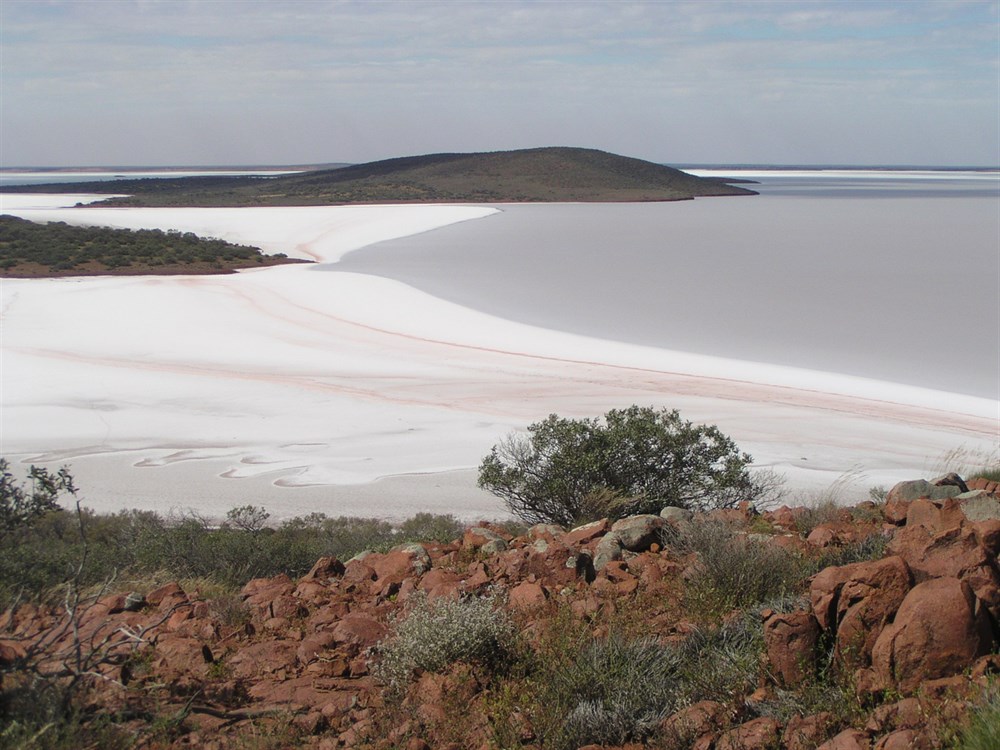 Lake Gairdner National Park SA ExplorOz Places