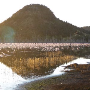 Lake Nuga Nuga