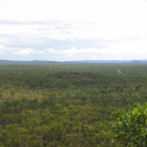 Open woodland from Gungurul Lkt