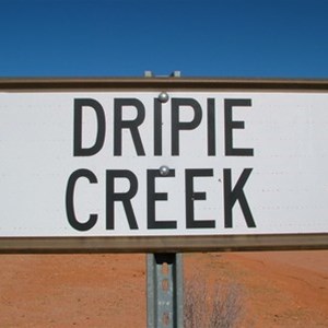 Dripie Creek