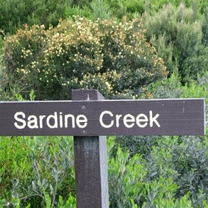Sardine Creek