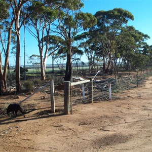 No. 1 Rabbit Proof Fence