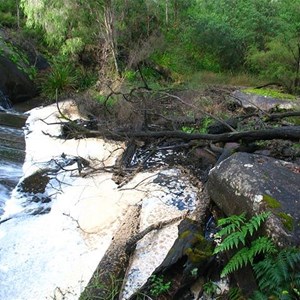 Lane Poole Falls