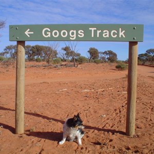 Goog's Track 