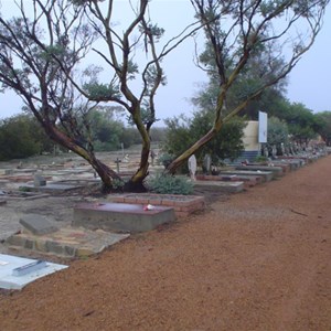 The Dog Cemetery