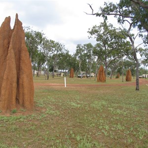 Camping among the termite  mounds