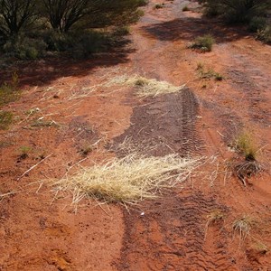 Remnants of Vehicle Fire (Hunt Oil Road)
