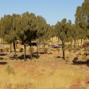 Nice Bush Camp (among Desert Oaks)