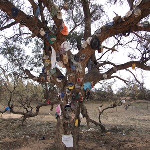 The Hat Tree