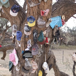 The Hat Tree