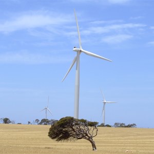 Wattle Point wind farm
