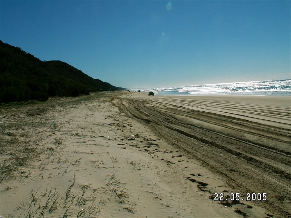 Firebreaks & Cooloola Beach Camping Zone QLD @ ExplorOz Places