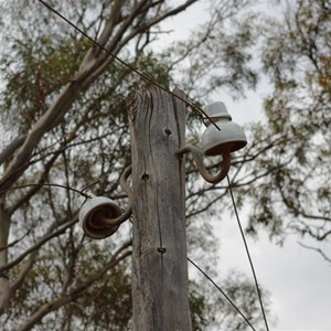 Old Telegraph Lines & Rabbit Proof Fence