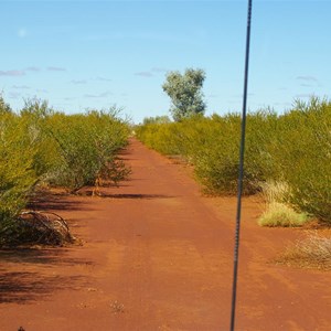 Road To Patience oil Well