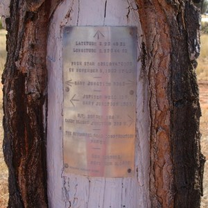 Len's Jupiter Well Tree and Plaque