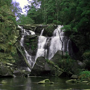 Stevensons Falls