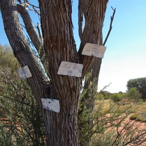 Salt Creek Junction and Tree Markers